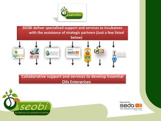 SEOBI deliver specialised support and services to incubatees
with the assistance of strategic partners (Just a few listed
below)
Collaborative support and services to develop Essential
Oils Enterprises
 