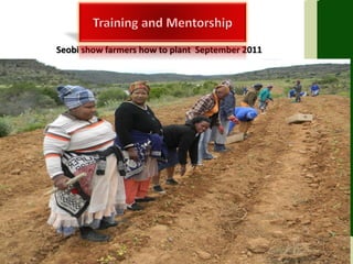 Seobi show farmers how to plant September 2011
 