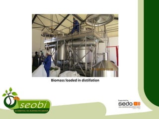 Biomass loaded in distillation
 