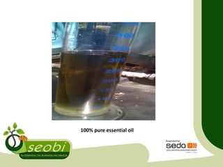 100% pure essential oil
 