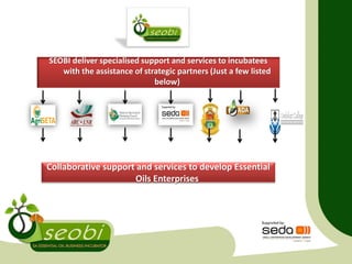 SEOBI deliver specialised support and services to incubatees
with the assistance of strategic partners (Just a few listed
below)
Collaborative support and services to develop Essential
Oils Enterprises
 