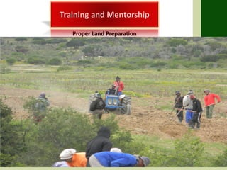 Proper Land Preparation
 