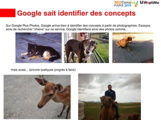 Google sait identifier des concepts
Sur Google Plus Photos, Google arrive bien à identifier des concepts à partir de photographies. Essayez
ainsi de rechercher “chiens” sur ce service, Google identifiera ainsi des photos comme...
mais aussi... (encore quelques progrès à faire)
 