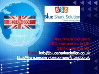 Blue Shark Solution
SEO companies in UK
SEO company UK
Email:
 
