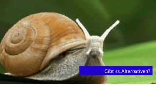 Gibt es Alternativen?
 