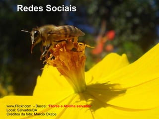 Links Patrocinados , SEO e Redes SociaisLinks PatrocinadosSEORedes SociaisAnúnciosTráfego pagoMinimizar CPCCurto prazoConversãoBusca Tráfego gratuitoMaximizar posiçãoMédio/Longo prazoAudiênciaBusca/NetworkTráfego gratuito/ConfiançaMaximizar presençaCurto/Médio/Longo prazoComunidadeCONTEÚDOKEYWORDSDIÁLOGO19