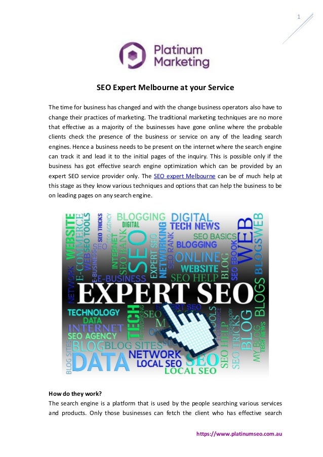 expert seo