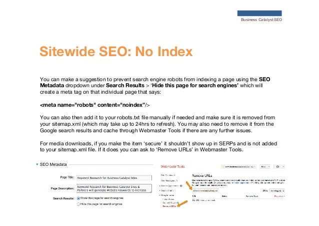 seo for business catalyst websites partner orientation webinar