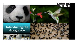 Introducing the
Google zoo
 