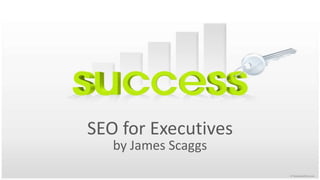 SEO for Executives by James Scaggs 
