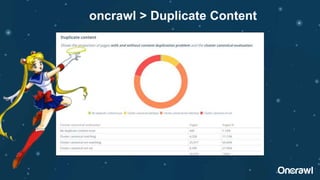 oncrawl > Duplicate Content
 