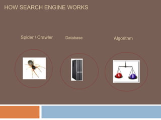 HOW SEARCH ENGINE WORKS
Spider / Crawler Database Algorithm
 
