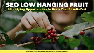 #SEOLOWHANGINGFRUIT BY @ALEYDA FROM #ORAINTI AT #WLSS 2021
#SEOLOWHANGINGFRUIT BY @ALEYDA FROM #ORAINTI AT #WLSS 2021
Identifying Opportunities to Grow Your Results Fast
SEO LOW HANGING FRUIT
 