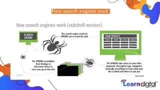 How search engines work
 