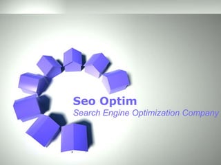 Seo Optim Search Engine Optimization Company 