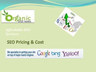 Affordable SEO
Services
 