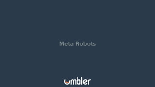 Meta Robots
 