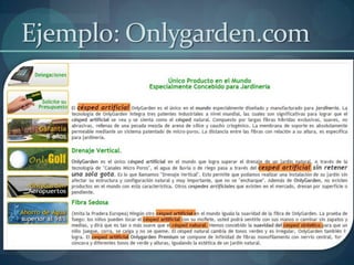Ejemplo: Onlygarden.com