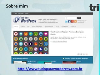 Seo para WordPress