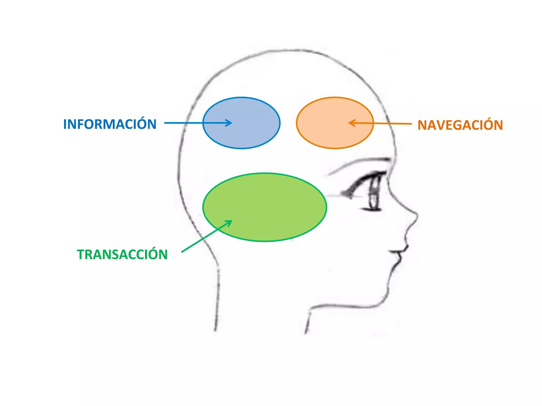 INFORMACIÓN 
NAVEGACIÓN 
TRANSACCIÓN 
 