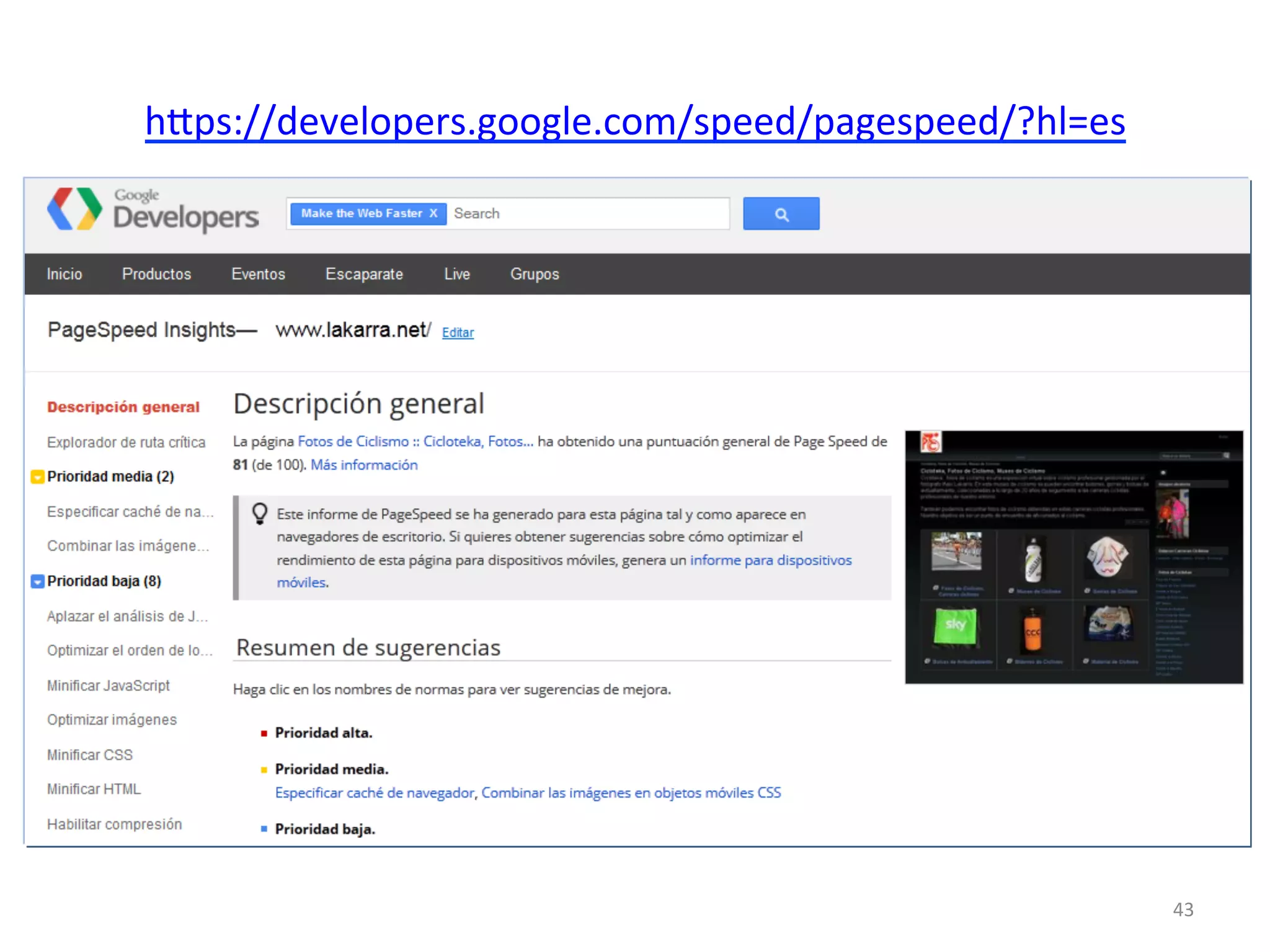 hmps://developers.google.com/speed/pagespeed/?hl=es 
43 
 