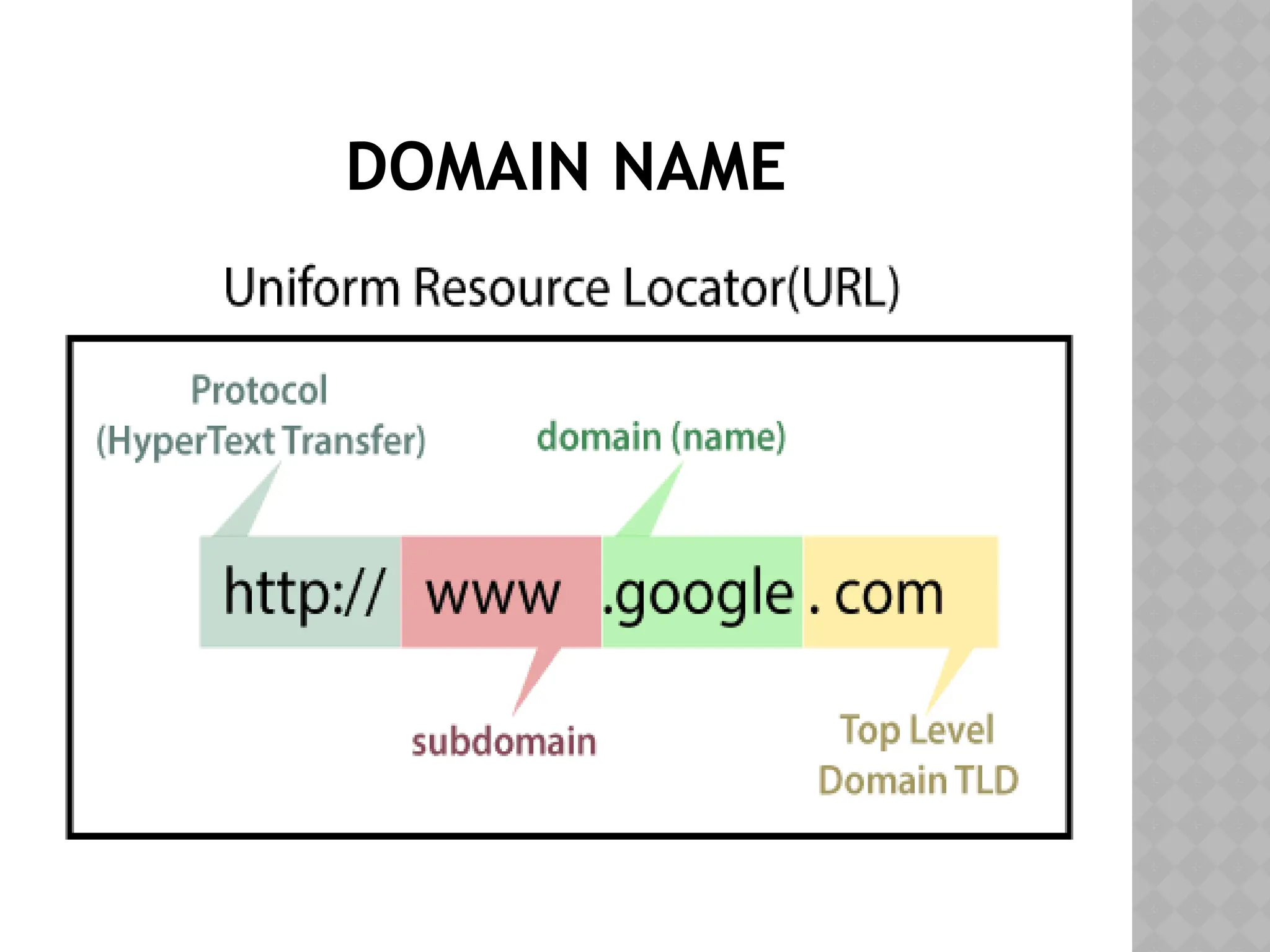 DOMAIN NAME
 