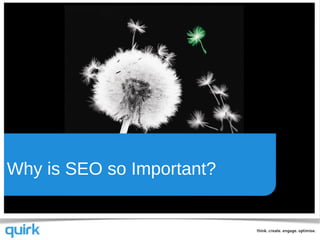 Why is SEO so Important?
 