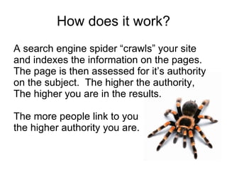 How does it work? A search engine spider “crawls” your site and indexes the information on the pages.  The page is then assessed for it’s authority on the subject.  The higher the authority, The higher you are in the results. The more people link to you the higher authority you are. 