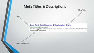 MetaTitles & Descriptions
MetaTitle
Meta Description
URL
 