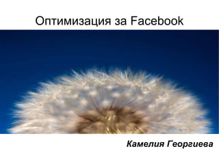 Оптимизация за Facebook ,[object Object]