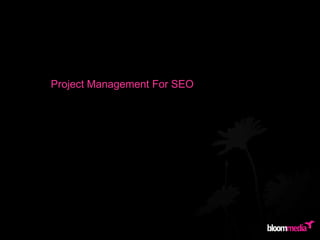 Project Management For SEO	 
