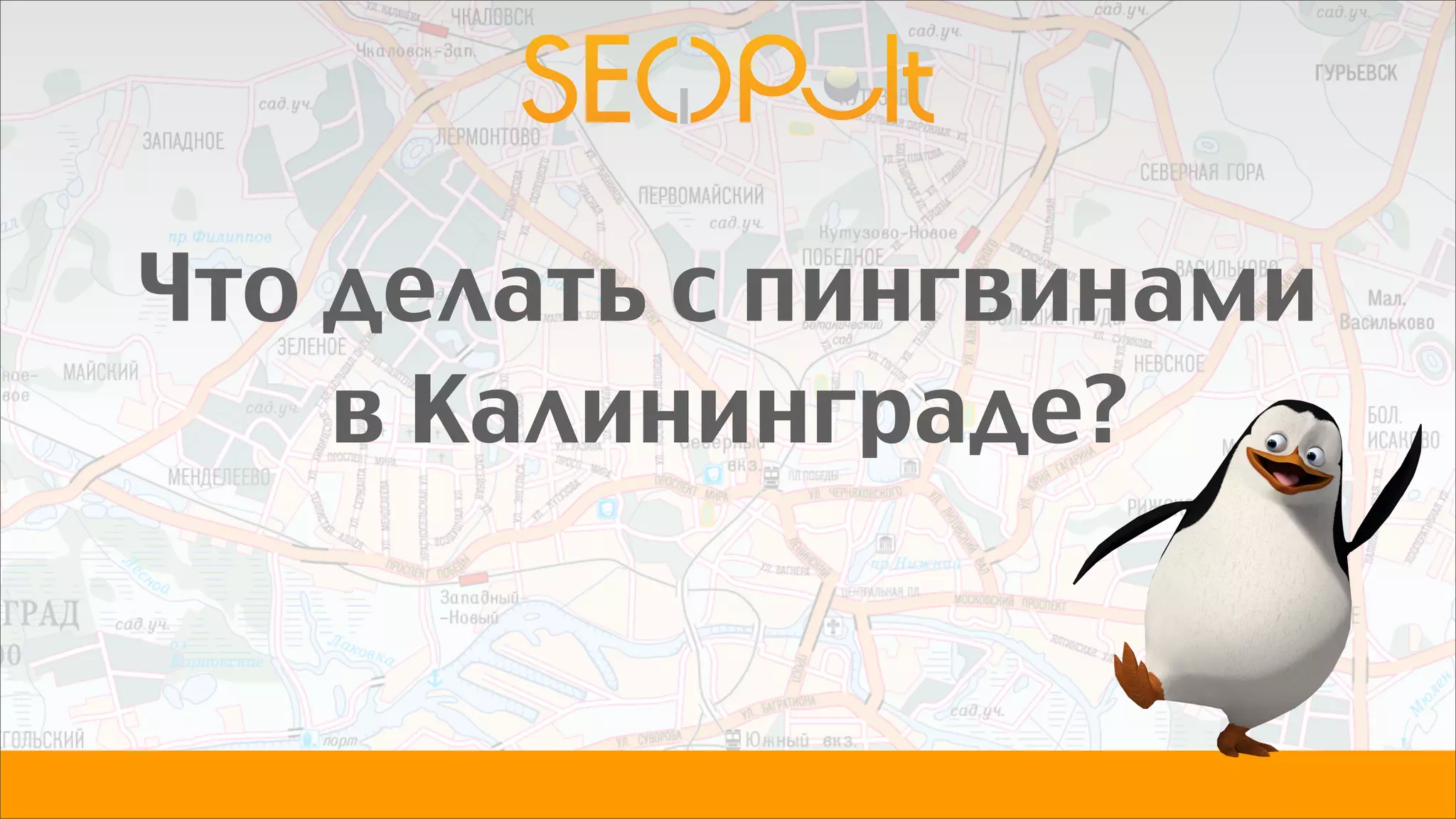 Что делать с пингвинами
в Калининграде?
 