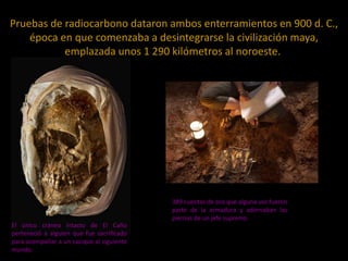 Pruebas de radiocarbono dataron ambos enterramientos en 900 d. C.,
época en que comenzaba a desintegrarse la civilización maya,
emplazada unos 1 290 kilómetros al noroeste.

389 cuentas de oro que alguna vez fueron
parte de la armadura y adornaban las
piernas de un jefe supremo.
El único cráneo intacto de El Caño
perteneció a alguien que fue sacrificado
para acompañar a un cacique al siguiente
mundo.

 