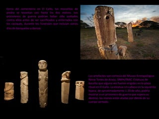 Cerca del cementerio en El Caño, los monolitos de
piedra se levantan casi hasta los dos metros. Los
prisioneros de guerra podrían haber sido azotados
contra ellos antes de ser sacrificados y enterrados con
los caciques, durante los funerales que incluían varios
días de banquetes y danzas.

Los artefactos son cortesía del Museo Antropológico
Reina Torres de Araúz, DNPH/INAC. Estatuas de
basalto que alguna vez fueron erigidas en la plaza
ritual en El Caño. La estatua sin cabeza en la izquierda
lejana, de aproximadamente 1.20 de alto, podría
mostrar a un prisionero de guerra que espera su
destino; las manos están atadas por detrás de su
cuerpo sentado.

 