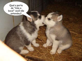 Qual a parte de “Cale a boca!” você não entendeu? 