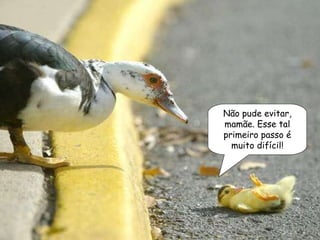 Não pude evitar, mamãe. Esse tal primeiro passo é muito difícil! 