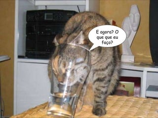 E agora? O que que eu faço? 