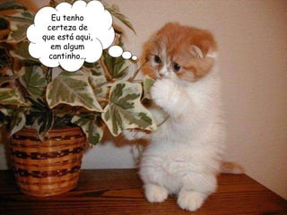 Eu tenho certeza de que está aqui, em algum cantinho... 