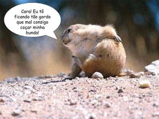 Cara! Eu tô ficando tão gordo que mal consigo coçar minha bunda! 