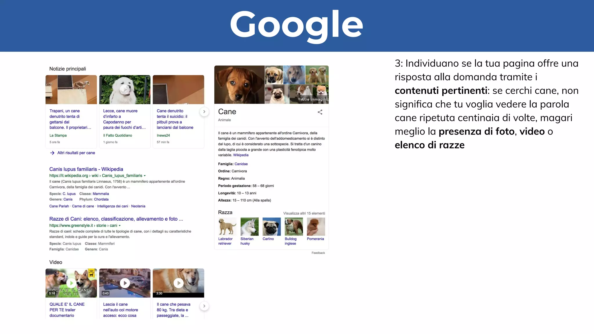 3: Individuano se la tua pagina offre una
risposta alla domanda tramite i
contenuti pertinenti: se cerchi cane, non
signiﬁca che tu voglia vedere la parola
cane ripetuta centinaia di volte, magari
meglio la presenza di foto, video o
elenco di razze
Google
 