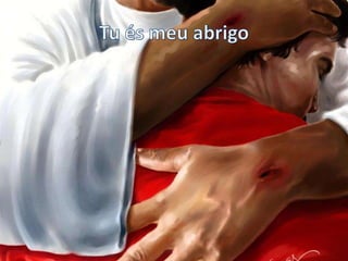 Trazendo a Arca - Se o sol se pôr