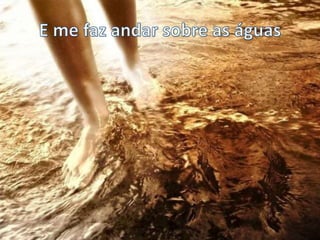 Trazendo a Arca - Se o sol se pôr