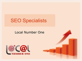 SEO Specialists

 Local Number One
 