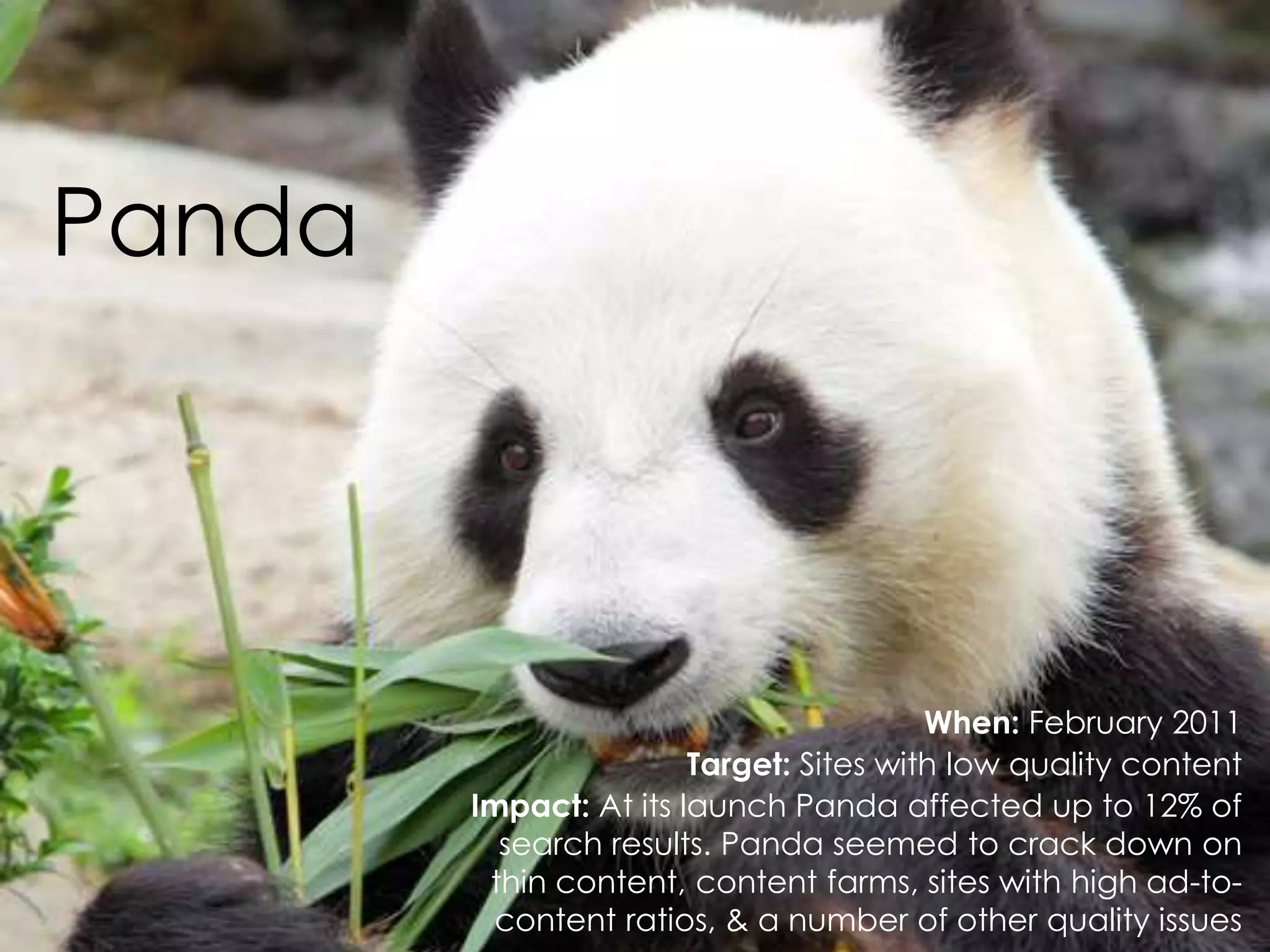 @AnnStanley
Panda
When: February 2011
Target: Sites with low quality content
Impact: At its launch Panda affected up to 12% of
search results. Panda seemed to crack down on
thin content, content farms, sites with high ad-to-
content ratios, & a number of other quality issues
 