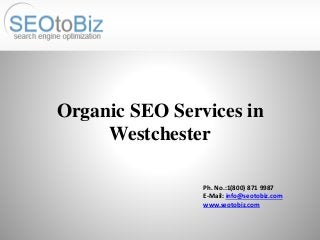 Ph. No.:1(800) 871 9987
E-Mail: info@seotobiz.com
www.seotobiz.com
Organic SEO Services in
Westchester
 