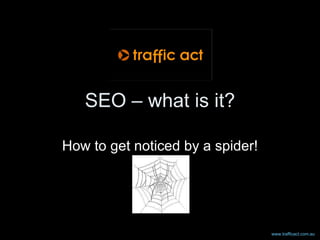 SEO – what is it? How to get noticed by a spider! www.trafficact.com.au   