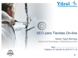 SEO para Tiendas On-line
                 Néstor Tejero Bermejo
Asesor de Estrategia y Marketing on-line

              Mail: nestor.tejero@ydral.com
      Teléfono: 91 522 86 74 | 670 74 71 15

                                       1
 