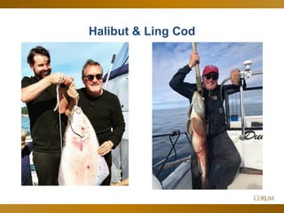 17
Halibut & Ling Cod
 