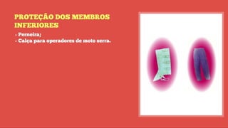 SEP-SEGUNDO MÓDULO - 1º PARTE