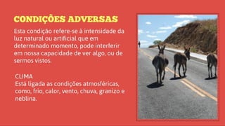 SEP-SEGUNDO MÓDULO - 1º PARTE